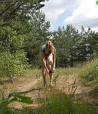 Shameless little hoochie makes piddle alfresco